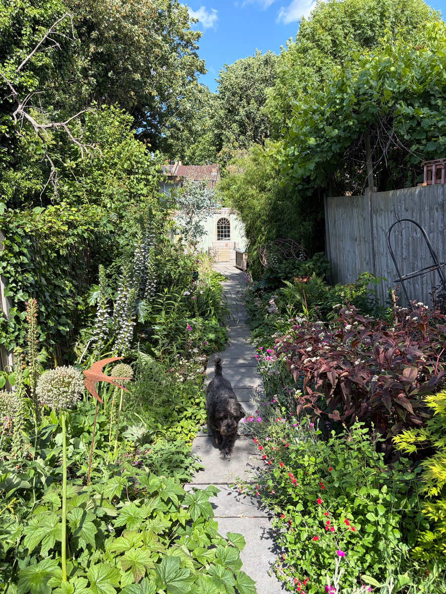 The garden, September 2026